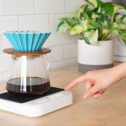 Acaia Nieuwe Parelwit